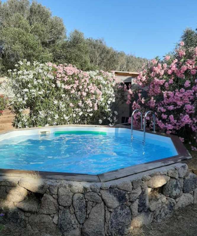 Mini Villa Giuseppina Bonifacio  Exterior foto